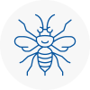 Chard Hornet Nest Removals