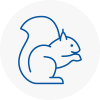 Chard Rodent Removals
